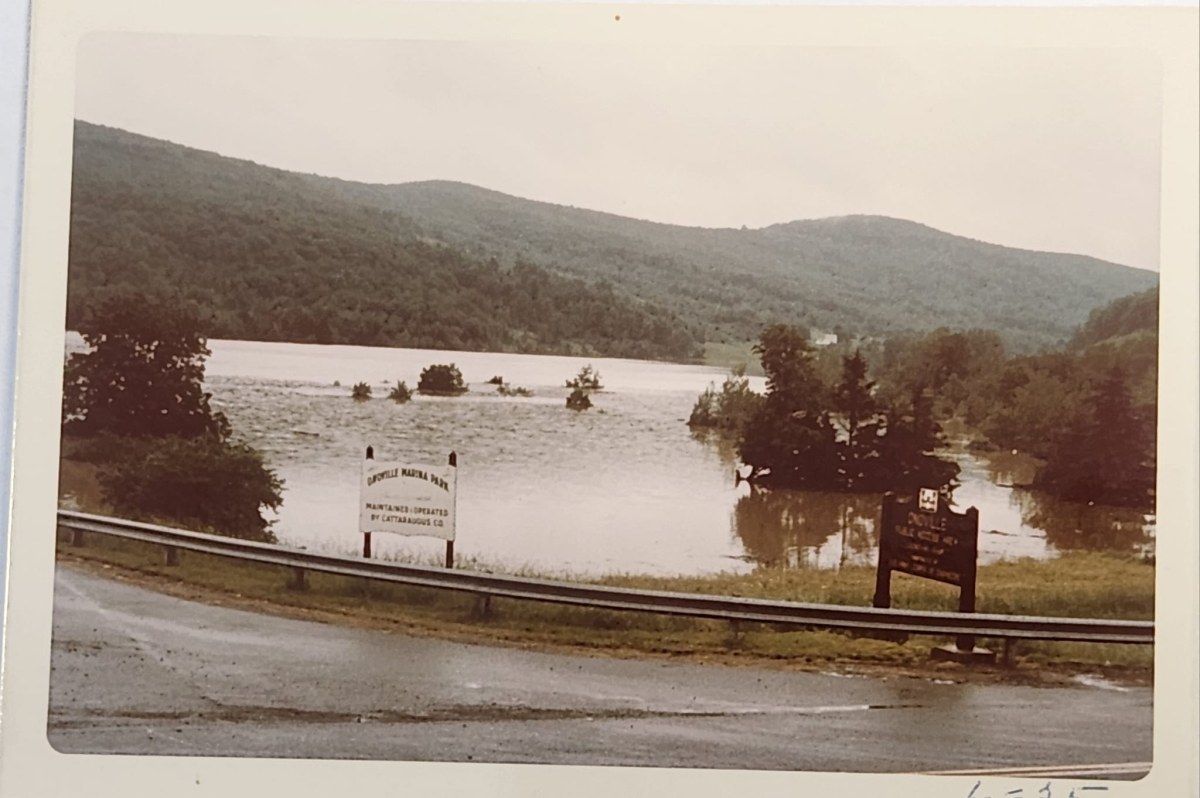 A view of Onoville Marina Park on June 25, 1972 with roadside signage